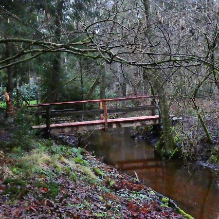 Ferienwohnung Niemann In Lutterloh Unterluss Exteriör bild