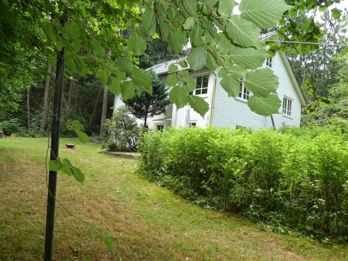 Ferienwohnung Niemann In Lutterloh Unterluss Exteriör bild